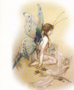 Faeries