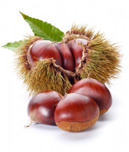 Chestnuts