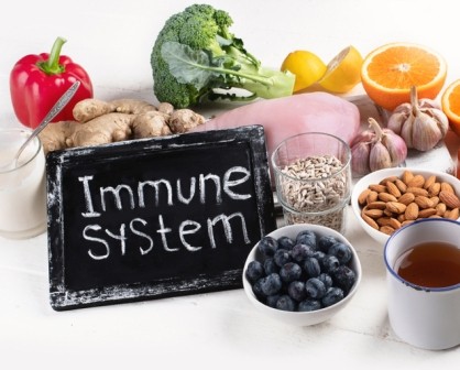 Immune System