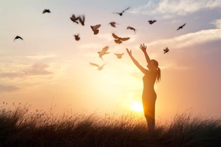Field of Consciousness