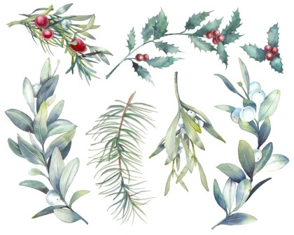 Herbal Magic