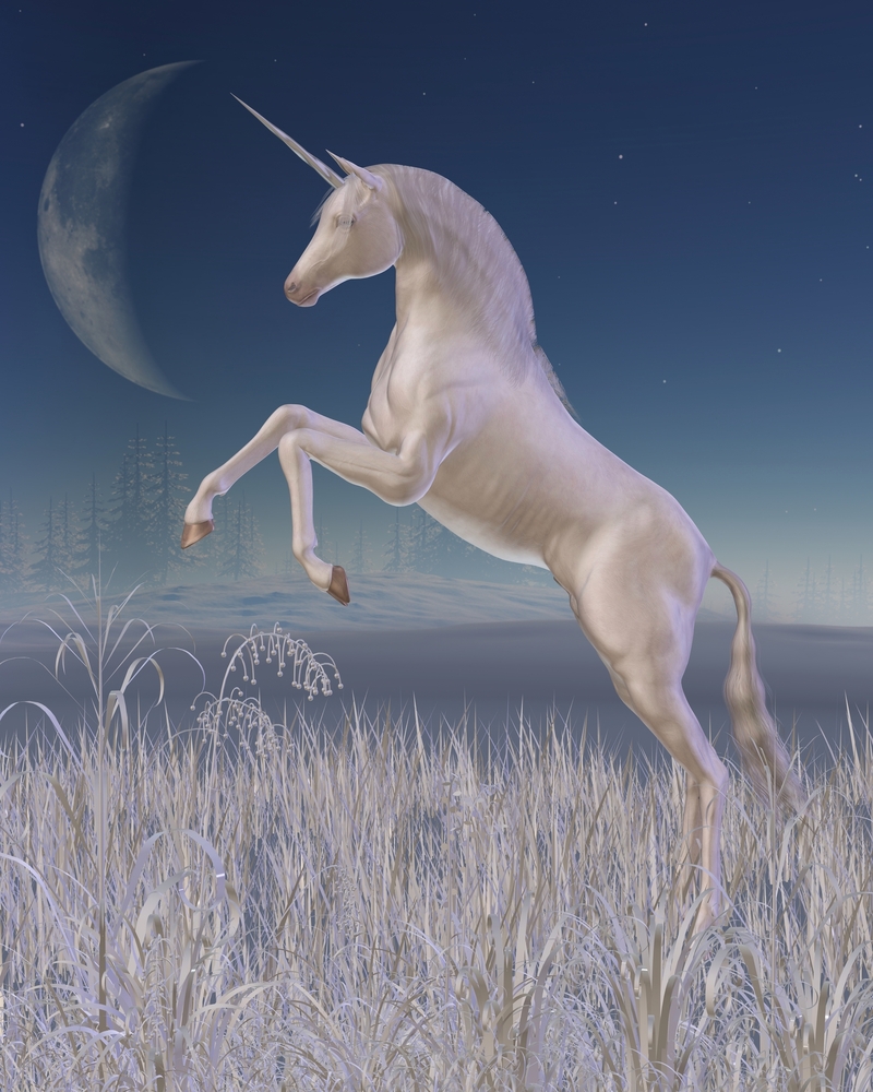 Psychic Sight Blog - The Unicorn - Psychic Sight Blog