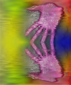 Aura Aura