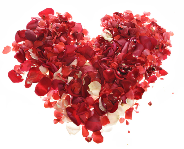 Love Heart Love Heart